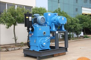 Roots Pump with ROTARY PISTON Pump Vacuum System